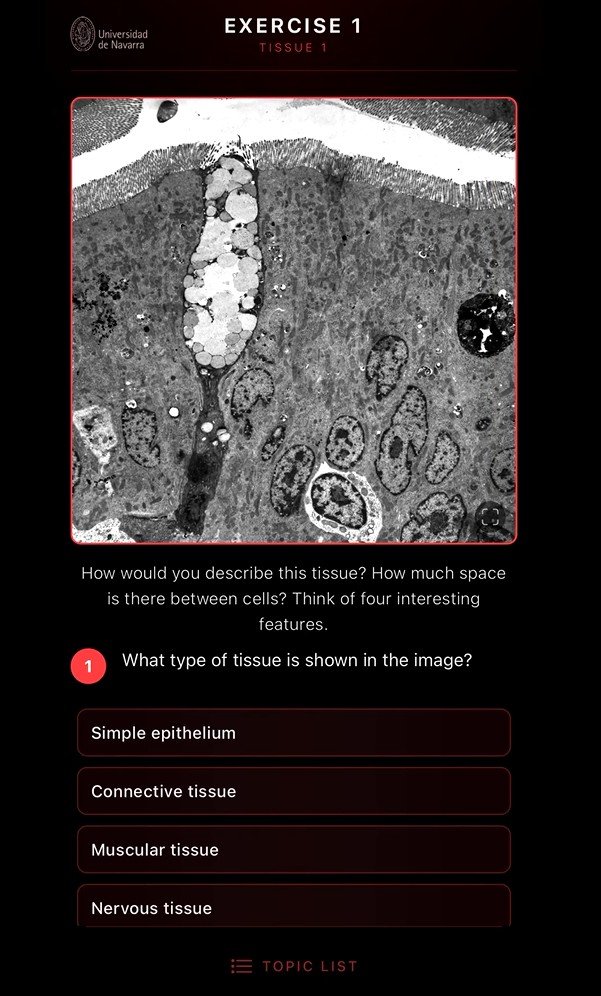 ULTRASTRUCTURE APP